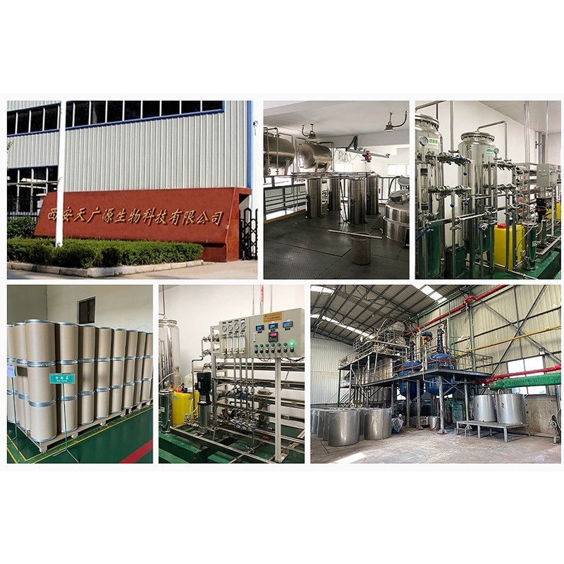 MCT Powder Supplier - 50% 70% Oil Powder Organic Bulk