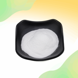 Lactobacillus Sporogenes Powder Manufacturer - 50-1000 Billion CFU/g