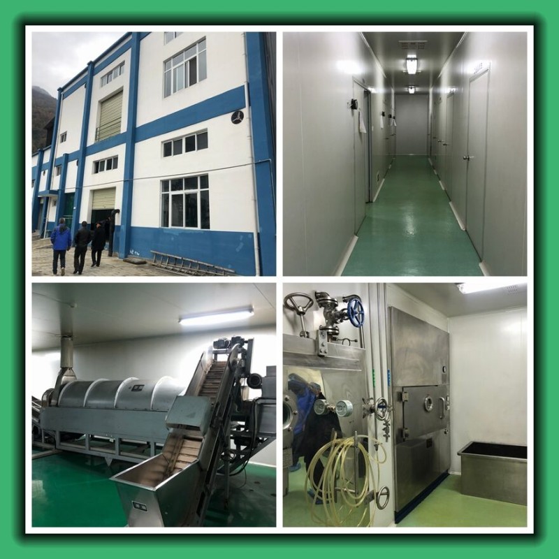 Lactobacillus Acidophilus Powder Factory - Lyophilized Multi-Specification