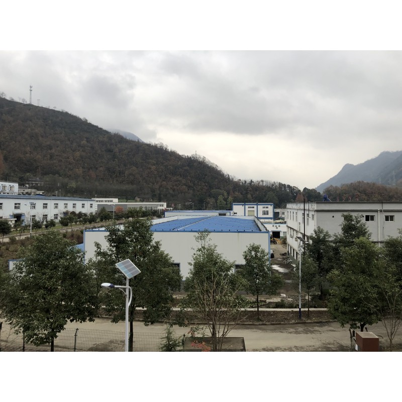 Lactobacillus Buchneri Powder Manufacturer - Probiotics Premium Quality