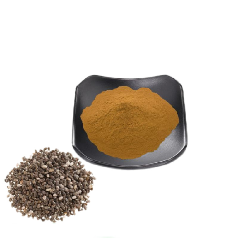 Chia Seed Powder Factory - Natural Herbal Extract Bulk Supply