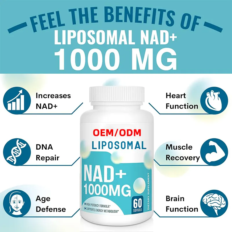 NAD+ Capsules Manufacturer - 1000mg Energy DNA Repair Antioxidant