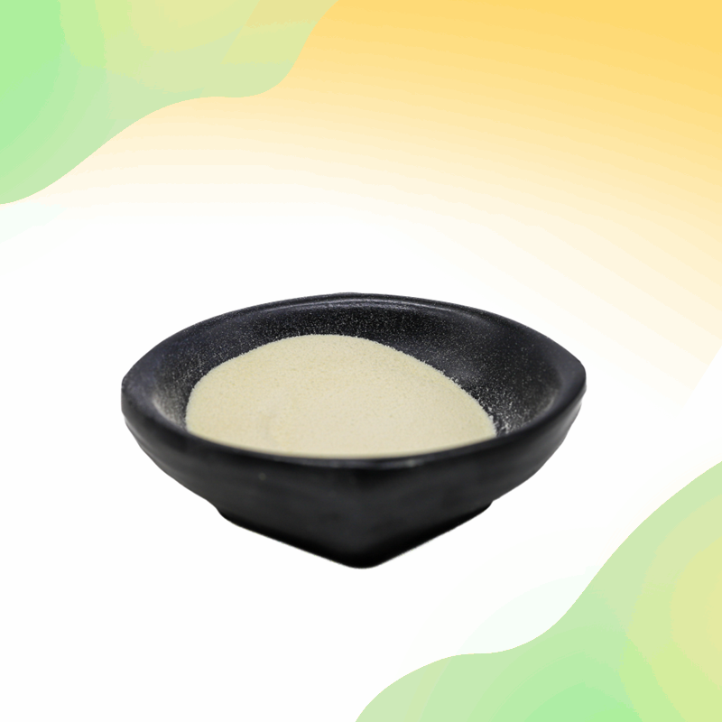 Yeast Beta Glucan Powder Manufacturer - Food Additive Natural