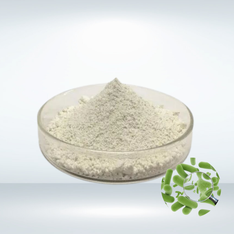 Saccharomyces Boulardii Powder Supplier - 10b Probiotics Quality