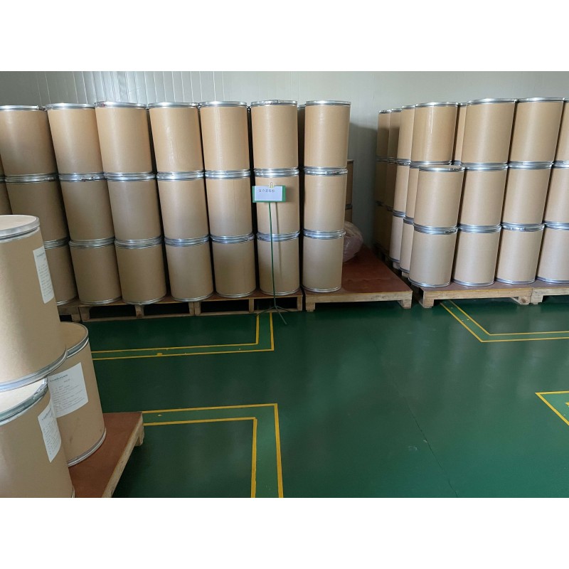 Lactobacillus Helveticus Powder Supplier - Bulk Probiotics Quality