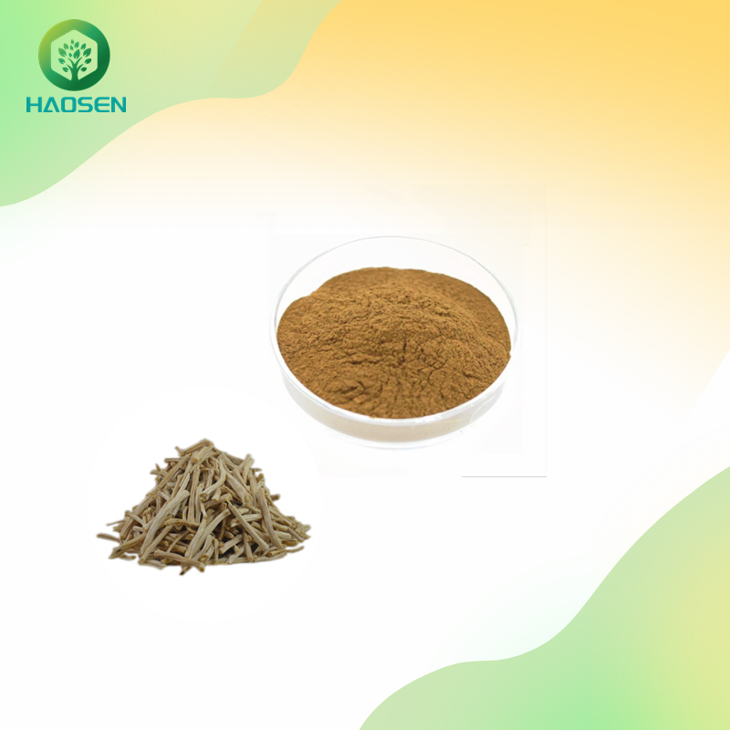 Shatavari Powder Factory - Asparagus Racemosus 10:1 Extract