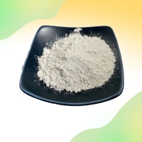 Rennet Casein Powder Manufacturer - Food Additive Natural Quality