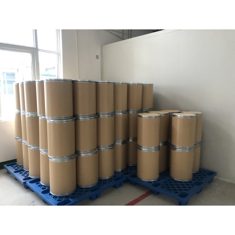 Lactococcus Lactis Powder Manufacturer - Probiotics Supplement Quality