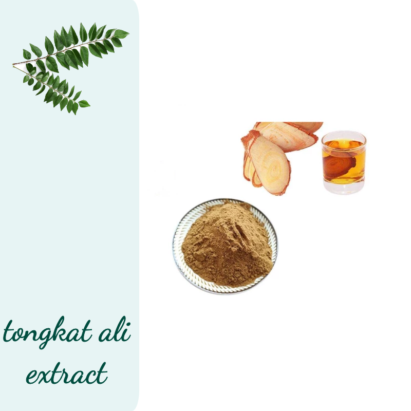 Fadogia Agrestis Powder Factory - Natural Male Extract Bulk