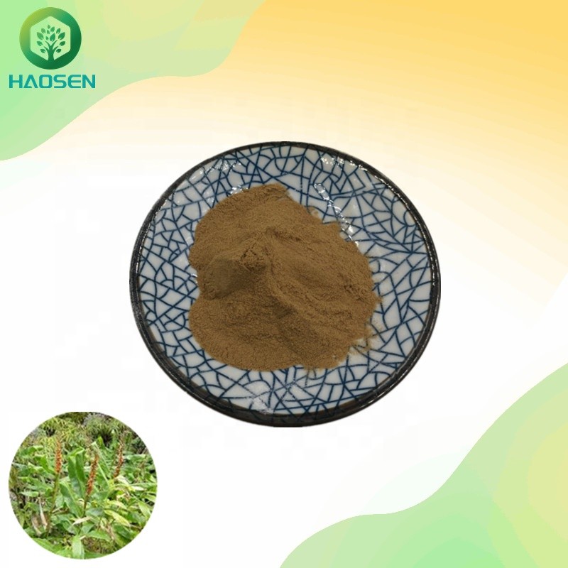 Fadogia Agrestis Powder Factory - Natural Male Extract Bulk