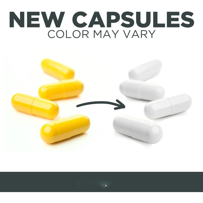 Creatine Monohydrate Capsules Manufacturer - Vegan Muscle Strength Power