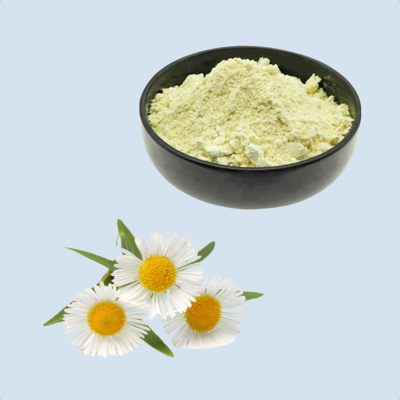 Chamomile Extract Powder Manufacturer - 98% Apigenin Food Grade