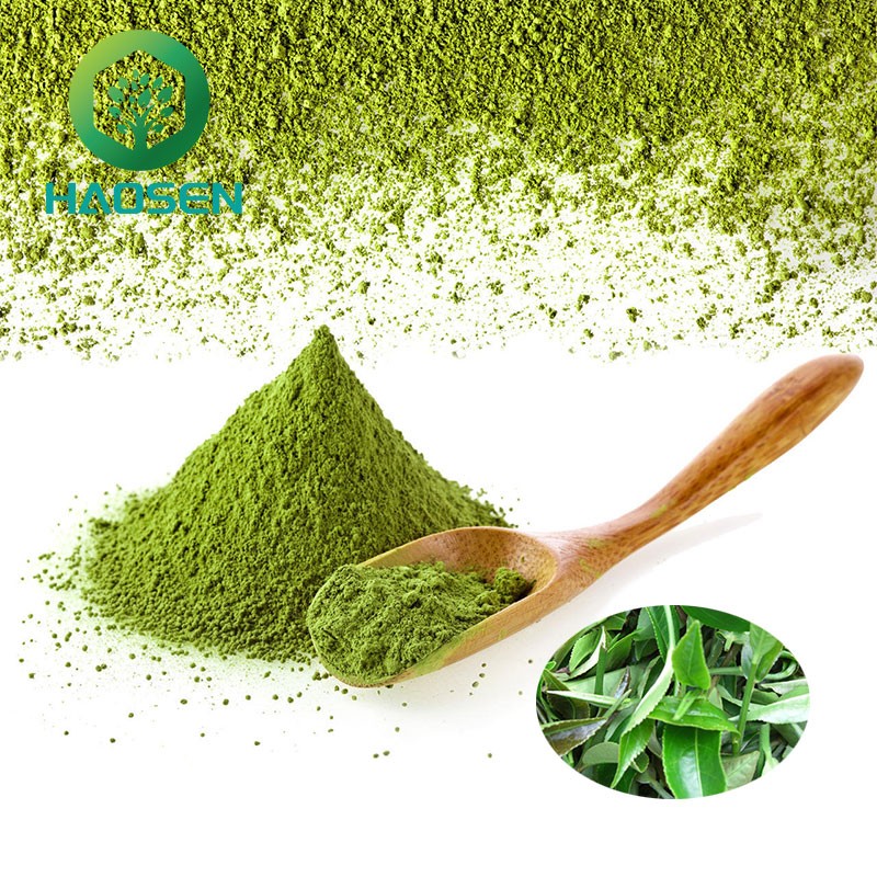 Matcha Powder Supplier - 100% Organic Green Tea Extract Bulk