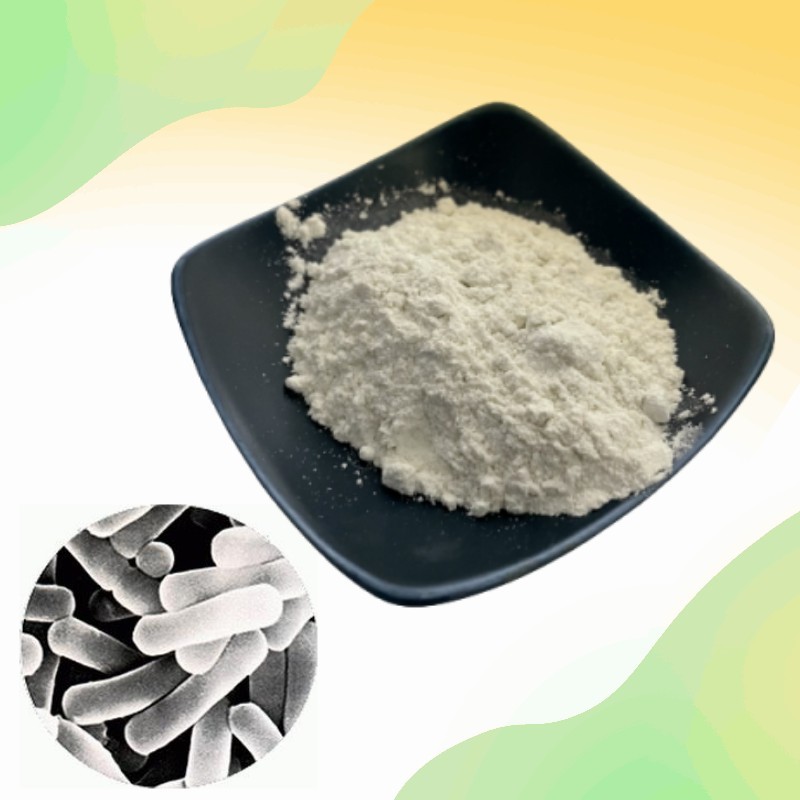 Lactobacillus Acidophilus Powder Factory - High Activity White Powder