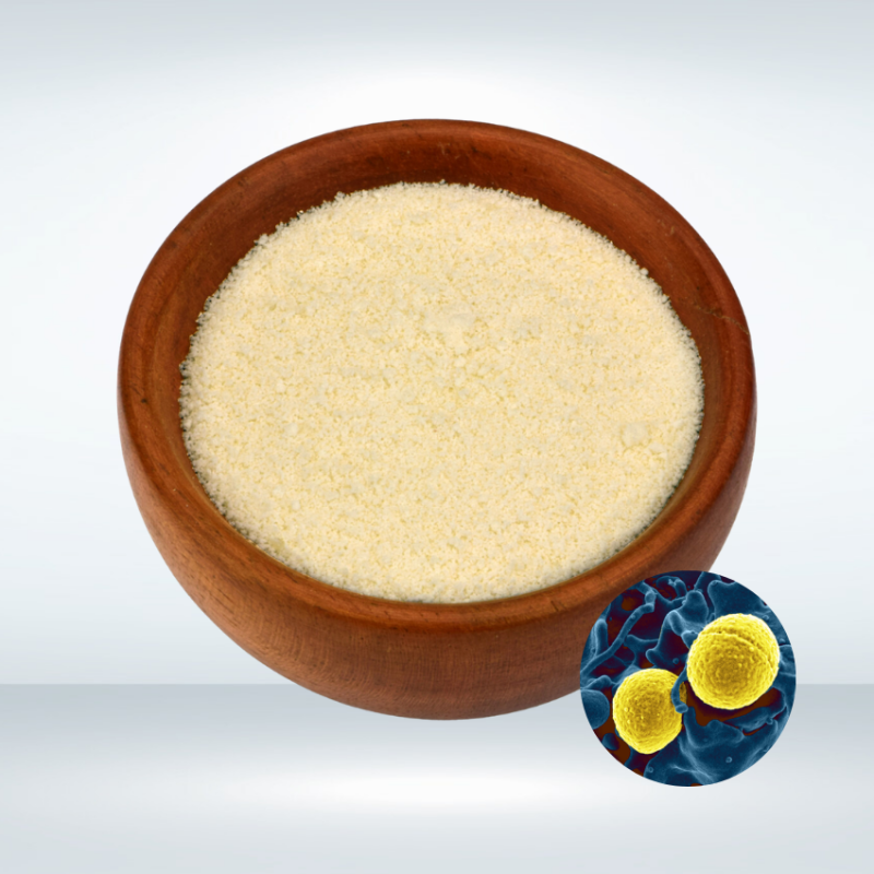 Staphylococcus Carnosus Powder Supplier - Quality Bacterial Culture