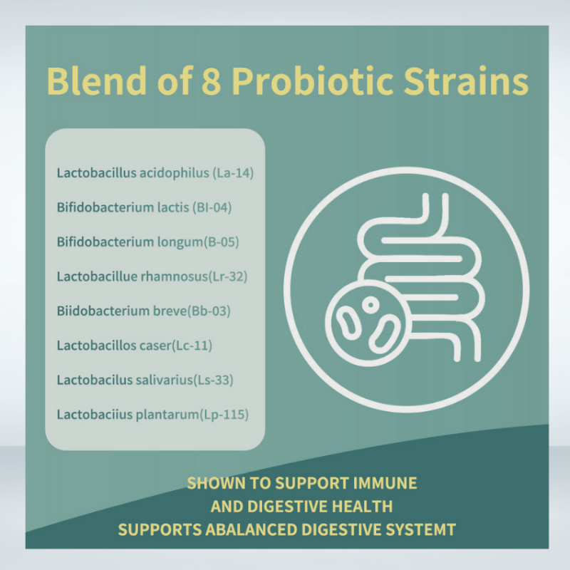 Probiotic Capsules Supplier - Vegan Fiber Digestive Enzyme OEM
