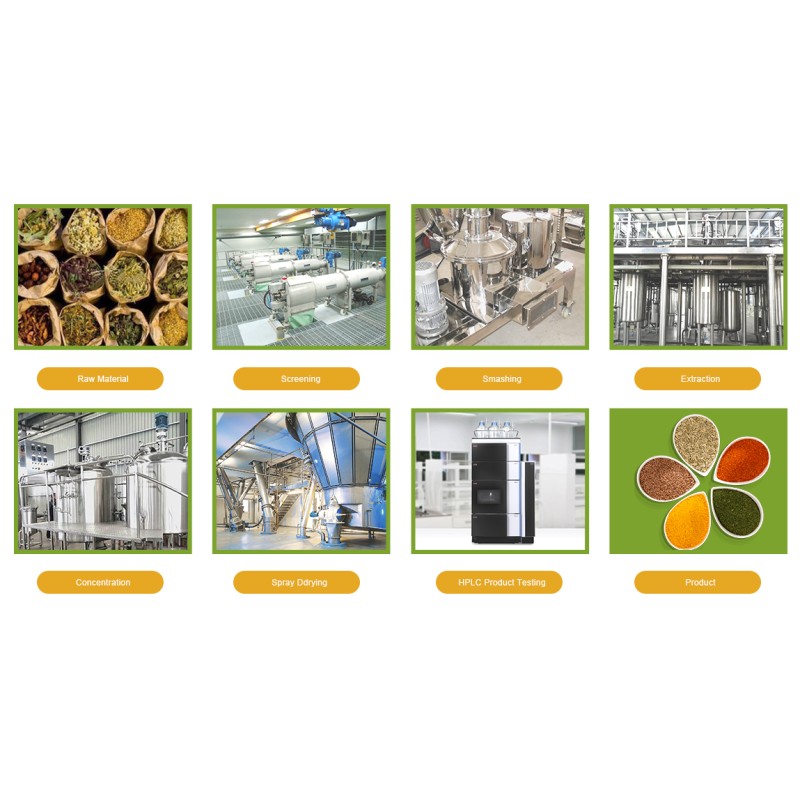 Bacillus Subtilis Powder Manufacturer - Food Additive Factorial Supply