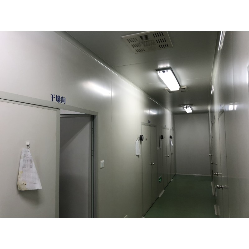 Lactococcus Lactis Powder Manufacturer - Probiotics Supplement Quality