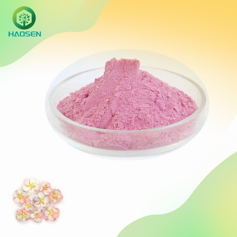 Cherry Blossom Powder Manufacturer - 10:1 Whitening Sakura Extract