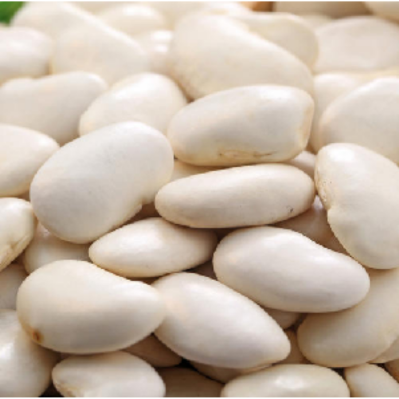 White Kidney Bean Powder Factory - 2% Phaseolin Weight Management