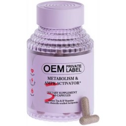 Activating Supplement Factory - OEM Green Tea Extract Vitamins B6 B12