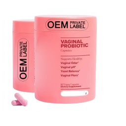 Probiotics Supplement Factory - OEM 100 Billion CFUs Womens Digestive