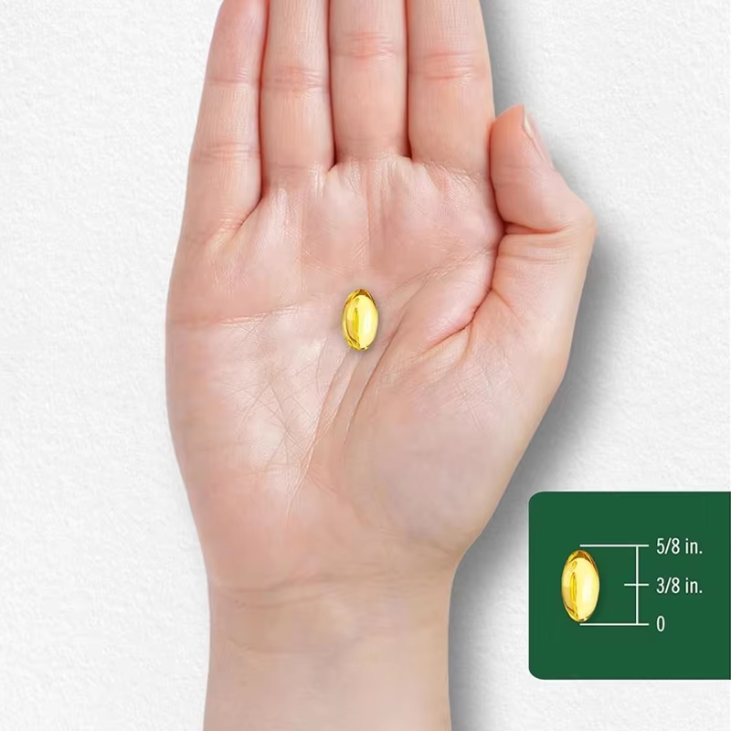 Oregano Oil Softgels Supplier - OEM Max Potency Digestive Health Support