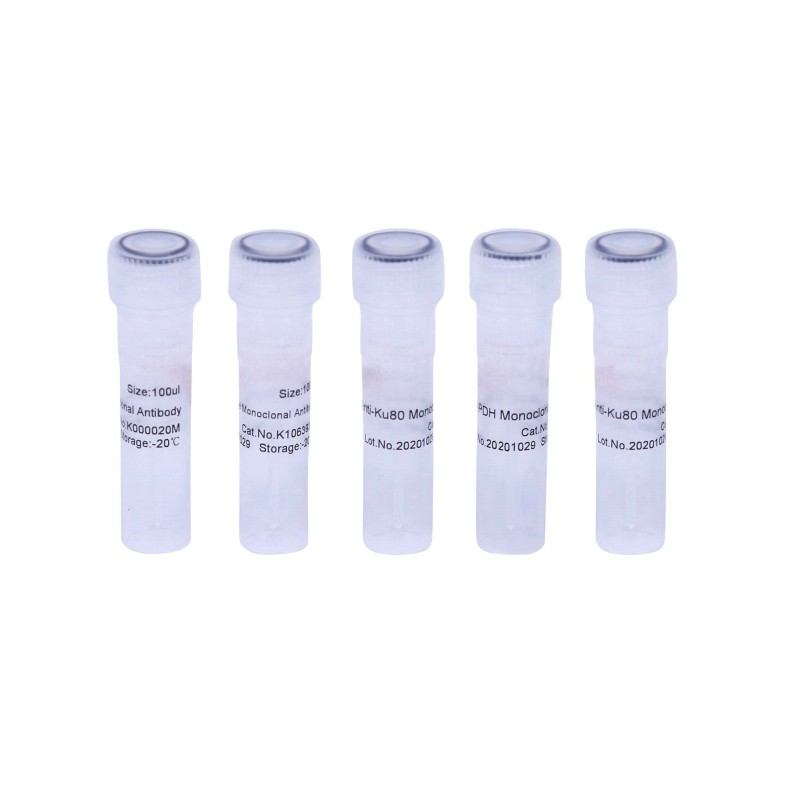 Methyl Green Supplier - OEM DNA-Specific Histology Stain