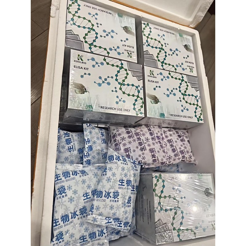 Angiotensin I ELISA Kit Factory - OEM Cardiovascular Research Support