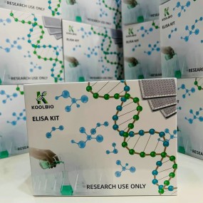 Ang1-7 ELISA Kit Supplier - OEM Cardiovascular Regulation Research