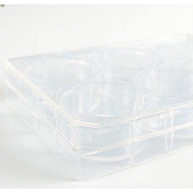 6-Well Plate Supplier - OEM TC-Treated Cell Culture