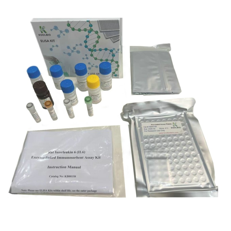 MUC17 ELISA Kit Factory - OEM 96-Well Gastrointestinal Research