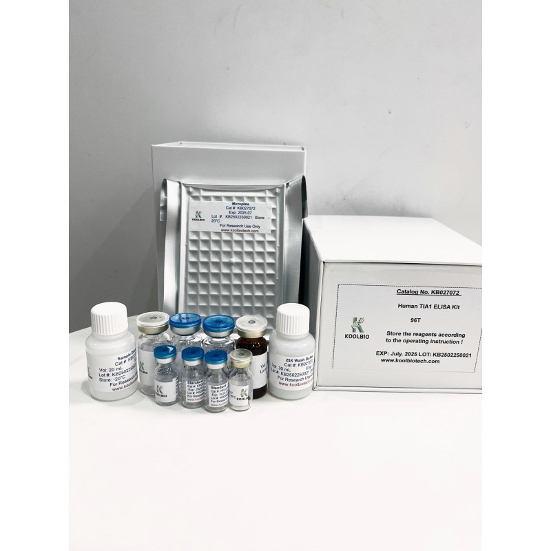PYY ELISA Kit Supplier - OEM Peptide YY Hormone Detection