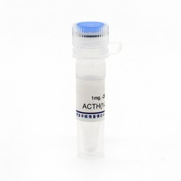 SUMO Protease Factory - OEM SUMO Fusion Protein Purification