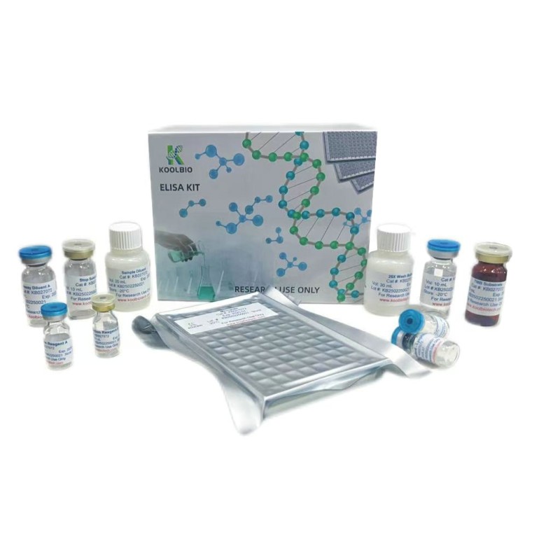 SUMO Protease Factory - OEM SUMO Fusion Protein Purification