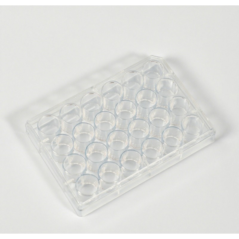 24-Well Plate Factory - OEM PS Sterile Ready-to-Use