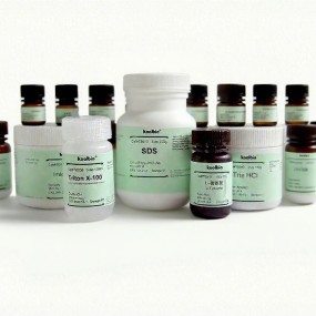 Yeast DNA Kit Factory - OEM Column-Based Maxi Prep