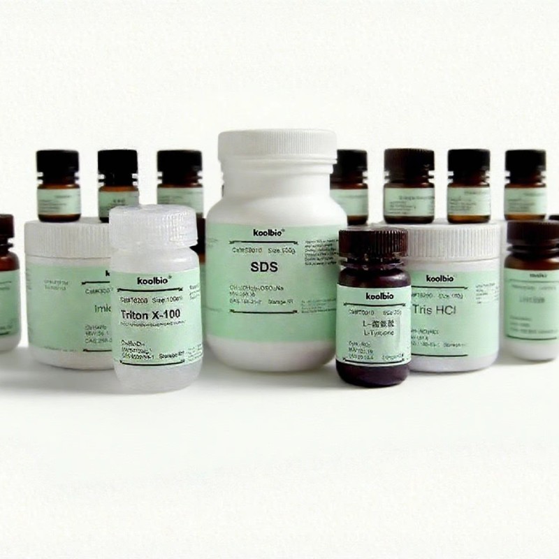 Yeast DNA Kit Factory - OEM Column-Based Maxi Prep