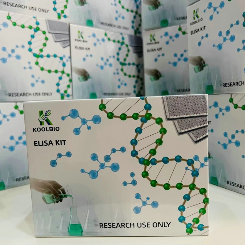 Galectin-4 ELISA Kit Supplier - OEM 96-Well Gastrointestinal Disease Research