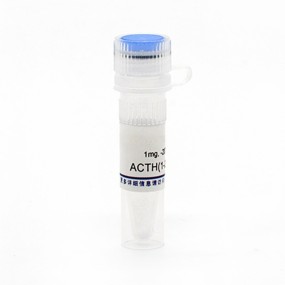Prestained Protein Marker Supplier - OEM Western Blot Sharp Bands