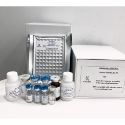 Galectin-4 ELISA Kit Manufacturer - OEM Human Research Diagnostics Support