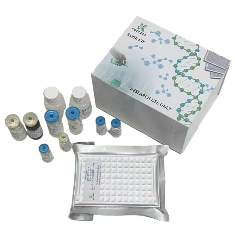 ECL Chemiluminescence Kit Supplier - OEM Femtogram Western Blot