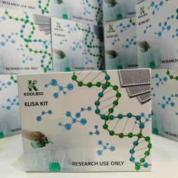 Angiotensin I ELISA Kit Manufacturer - OEM 96-Well Custom Chemical Service