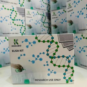 Angiotensin I ELISA Kit Manufacturer - OEM 96-Well Custom Chemical Service