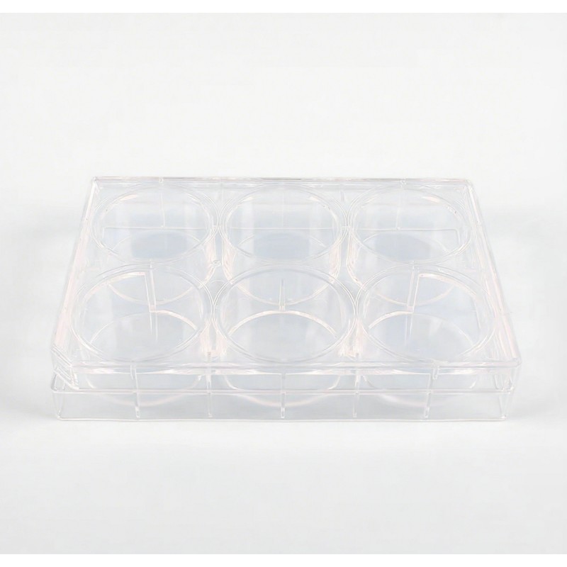 6-Well Plate Supplier - OEM TC-Treated Cell Culture