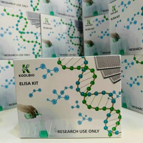 Viral Genome Kit Supplier - OEM RNA/DNA Co-Extraction