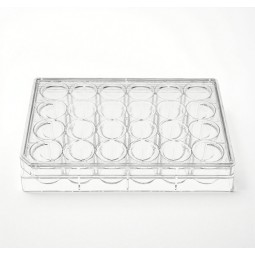 24-Well Plate Factory - OEM PS Sterile Ready-to-Use