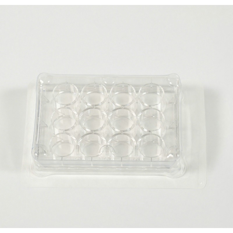 6-Well Plate Supplier - OEM TC-Treated Cell Culture