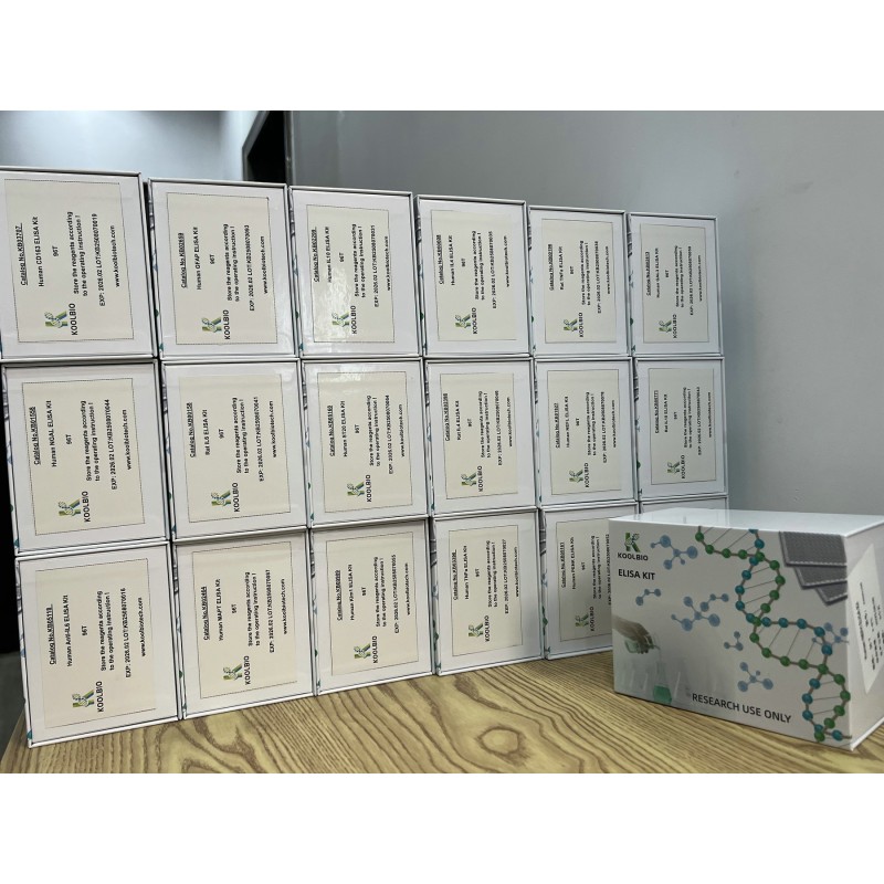 Ang1-7 ELISA Kit Supplier - OEM Cardiovascular Regulation Research