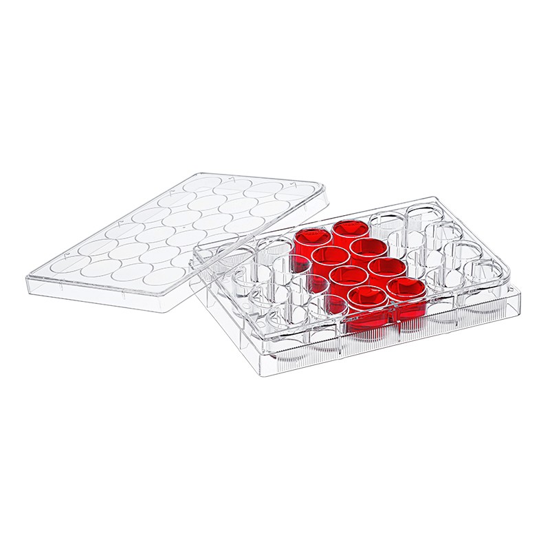 Petri Dishes Supplier - OEM 35-100mm Vented Lid